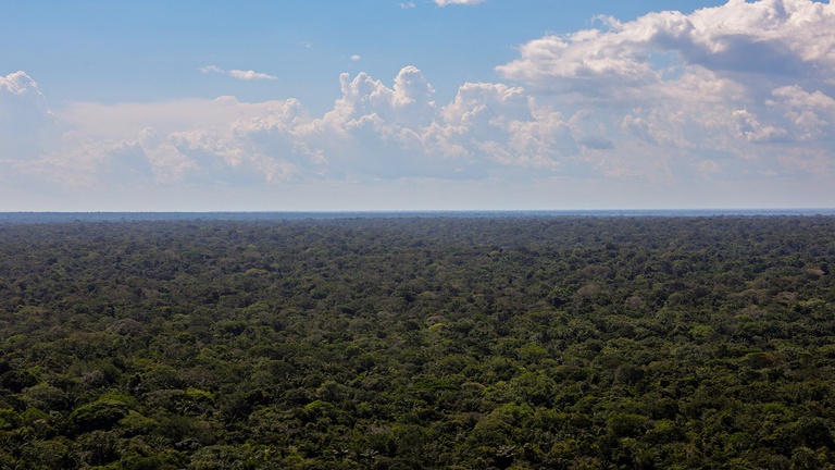 Amazonia Fabio Rodrigues-Pozzebom Agencia Brasil.jpg