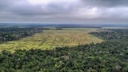 Degradacao Amazonia_Policia Federal.jpg