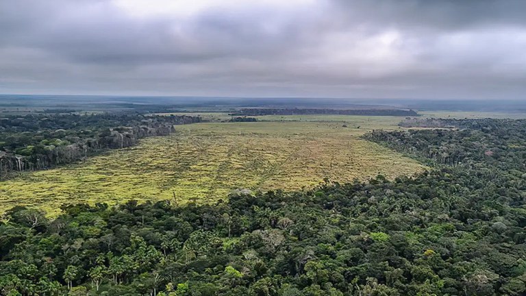 Degradacao Amazonia_Policia Federal.jpg