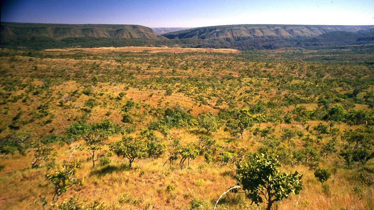 TRF1 mantém embargos ambientais aplicados a propriedades rurais na Bahia, afasta norma estadual e confirma competência fiscalizatória da autarquia federal