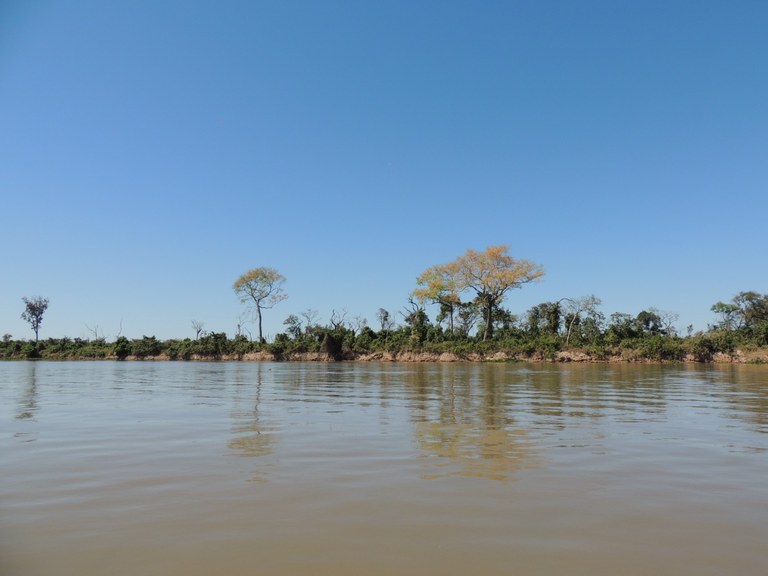 pantanal2.jfif