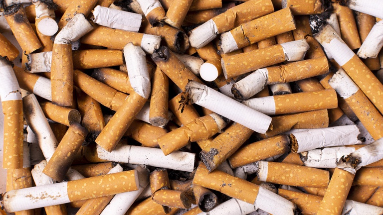cigarro-magnific.jpg