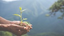 SUSTEntabilidade.jpg