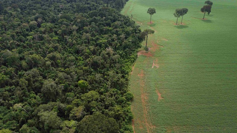 Amazônia_Fernando Frazão-Agência Brasil.jpg