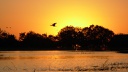pantanal iphan.jpg