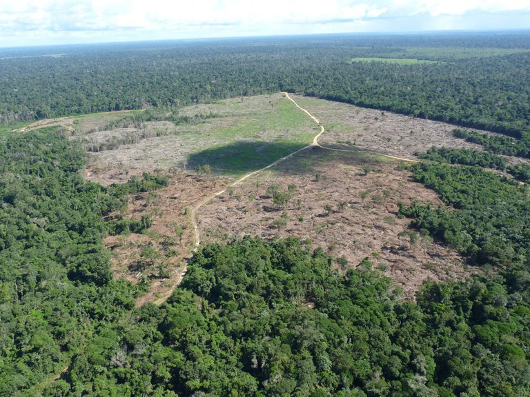 Força-Tarefa da AGU obtém bloqueio de R$ 4,5 milhões de desmatador da Amazônia — pt-br