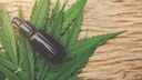 cannabis.jpg