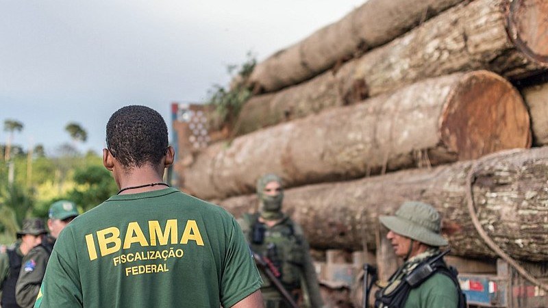 Condenação inclui a recuperação da área desmatada na Floresta Amazônica e mais R$ 267 mil em danos coletivos
