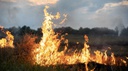 incêndio florestal-Freepik.jpg