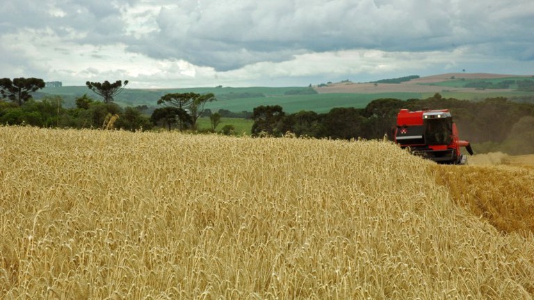 Kátia Marcon-Ascom EmaterRS.jpg