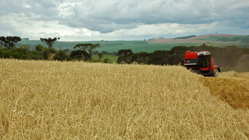 AGU consegue bloquear lavouras, pecuária e comércio ilegal de madeira que impedem a regeneração natural do bioma em áreas particulares em Bom Jesus (RS)