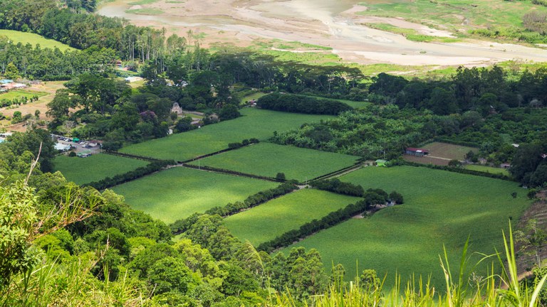 imóvel rural freepik.jpg