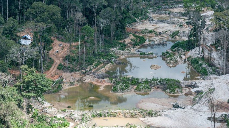 Vinícius Mendonça_Ibama.jpeg