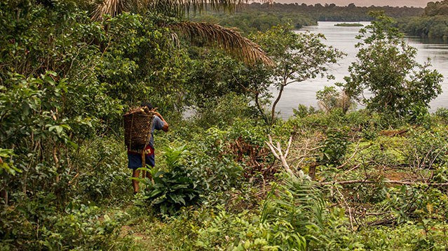 Resex Verde-ICMBio.jpeg