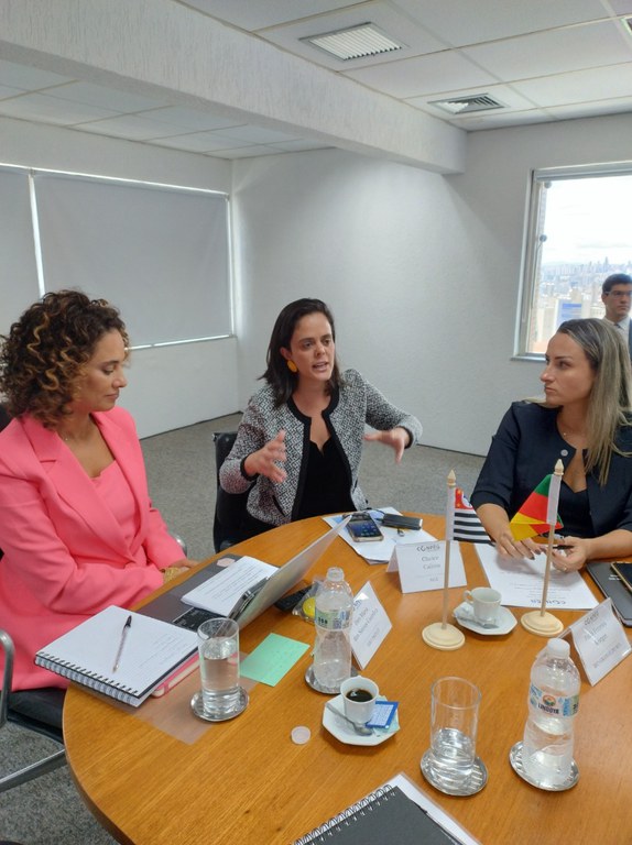 Projetos de cooperação entre AGU e procuradorias estaduais são destacados em reunião do Conpeg