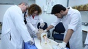 medicina3.jpg