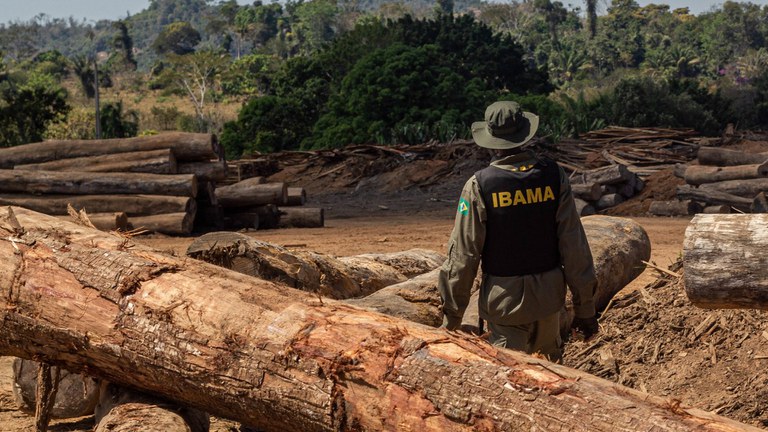 ibama.jpg