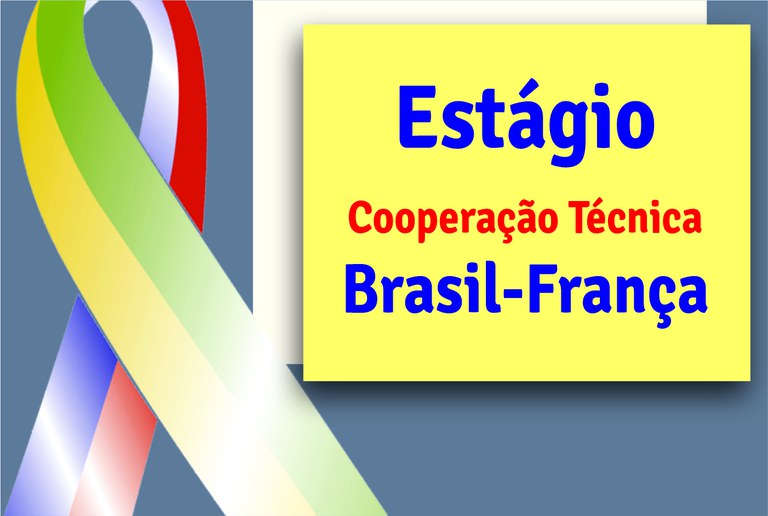 brasil frança_capa.jpg