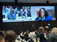 Em Genebra, Brasil contribui com a revisão da estratégia global do HIV, aids, tuberculose e outras infecções e doenças