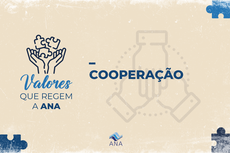8 voce contribui com a ana no quesito cooperaçao.png