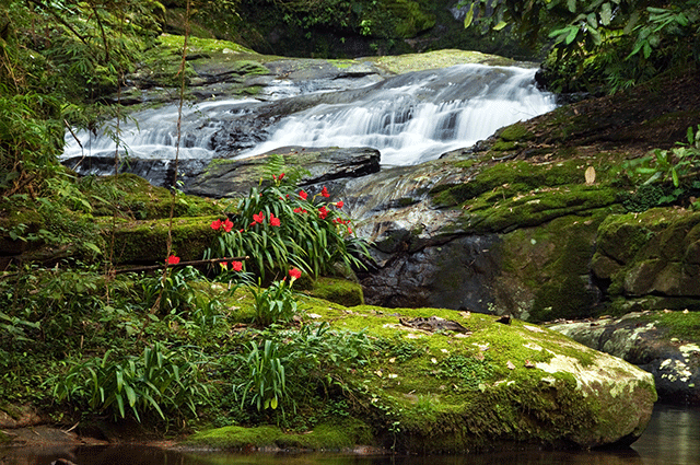 Rio Mãe Catira (PR) - Zig Koch / Banco de Imagens ANA