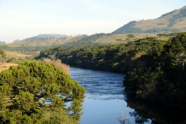 Rio Pelotinhas (SC) - Zig Koch / Banco de Imagens ANA