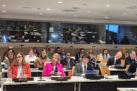 ANA participa de painel sobre água e Convenções do Rio durante Fórum de Alto Nível da ONU