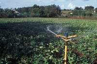 Agência seleciona consultor para analisar aspectos legais da regulamentação da compensação financeira de usuários que tiveram uso da água suspenso