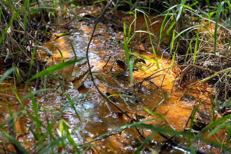 WhatsApp Image 2026-04-14 at 16.23.05.jpeg