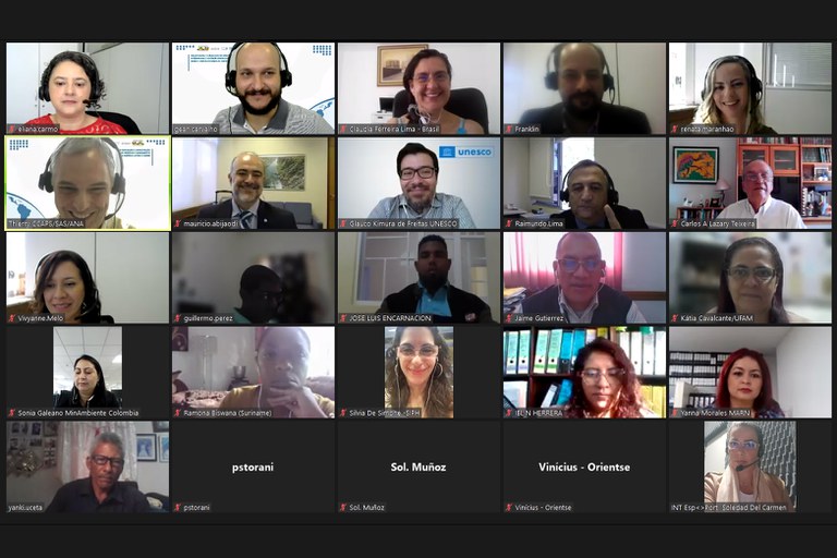 Participantes da oficina em videoconferência