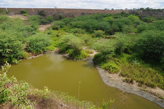 ANOR_159 D-PB0303- Rio e barragem de açude - BR423 - Soledade - PB - Zig Koch .jpg