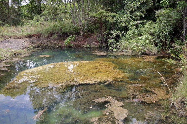 Água em propriedade participante do Produtor de Água no Pipiripau (DF)