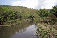 ANA e ADASA publicam novas regras para uso da água da bacia do ribeirão Pipiripau (DF/GO)