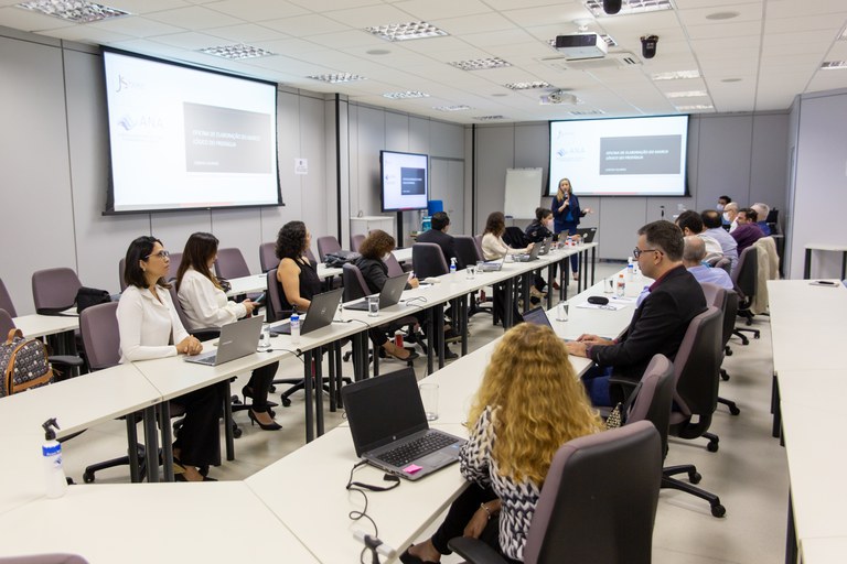 Renata Maranhão (em pé), coordenadora de Capacitação do SINGREH e do Setor de Saneamento da ANA, discursa na abertura da Oficina
