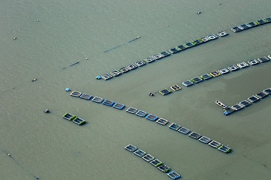 Aquicultura em tanques-rede