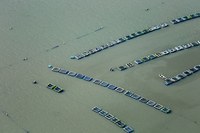 ANA emite primeira outorga única para SAP/MAPA para aquicultura em reservatórios com águas da União