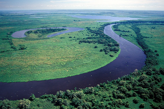 parg_061-pa1506-rio-paraguai-pantanal-ms-zig-koch.jpg