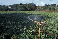 ANA publica novas regras para usos da água da PCH Machado Mineiro na bacia do rio Pardo (BA/MG)