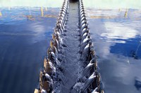 ANA realiza consulta pública sobre primeira agenda regulatória para o saneamento até 25 de outubro