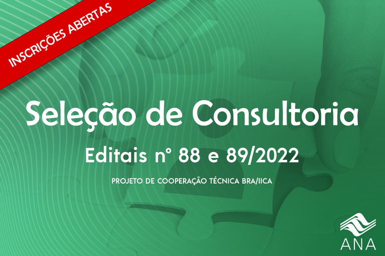 BRA Consultoria