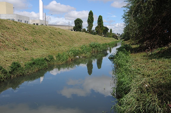 Curitiba (PR)