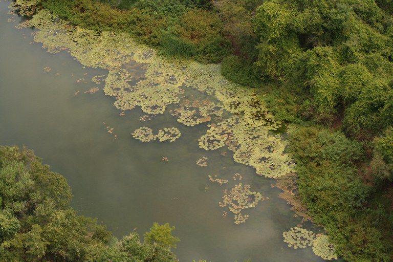 Rio Verde Grande (MG)