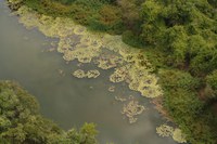 Comitê da Bacia Hidrográfica do Rio Verde Grande divulga lista dos habilitados para eleições do colegiado