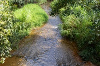 Comitês presididos pelo MIDR aprovam R$ 32,5 milhões para ampliar Programa Produtor de Água no Rio Grande