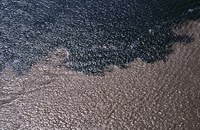 Contrato para participação do Amazonas no PROCOMITÊS entra em vigor