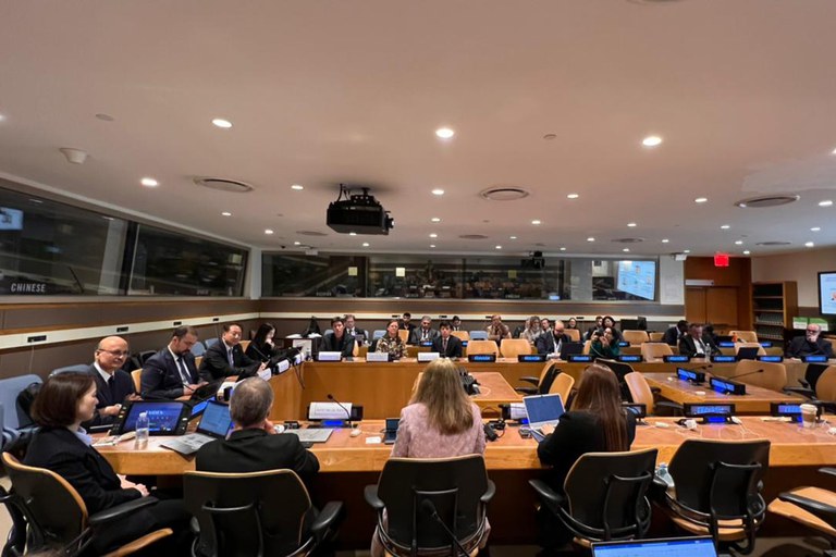 Assessora Fernanda Abreu no painel O Sistema de Suporte a Políticas para o ODS 6: Identificar e Preencher a Lacuna de Capacidade para Alcançar os ODS Relacionados à Água