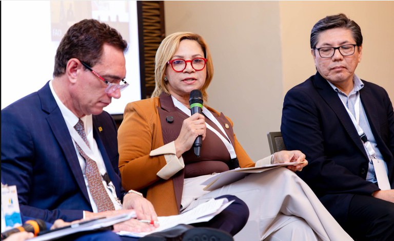 WhatsApp Image 2026-02-10 at 17.13.46.jpeg