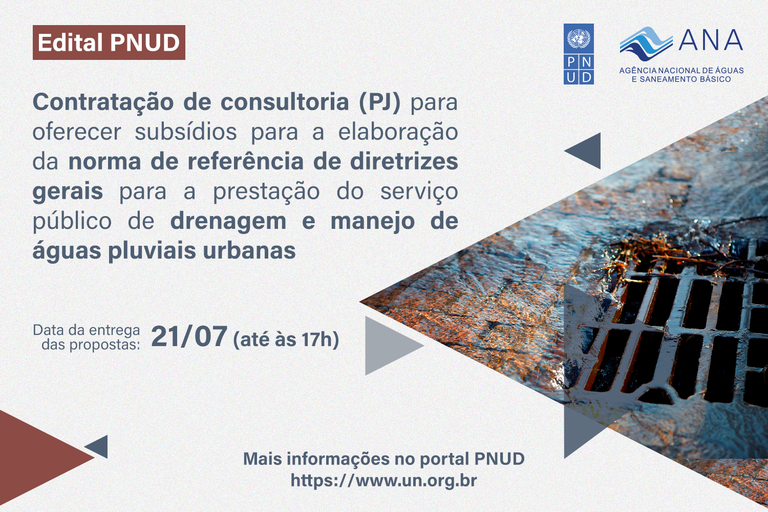 Edital PNUD Consultor.png
