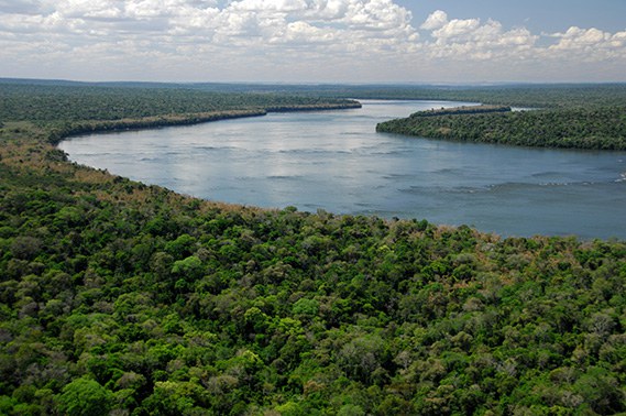PARN_066 D-NF2150- Rio Iguaçu antes das cataratas - Parque Nacional do Iguaçu - Zig Koch.jpg