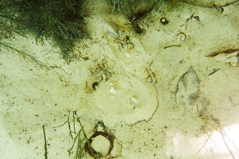 Fervedouro em leito de rio